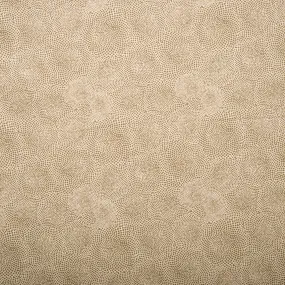 Blenders - Spirograph - Beige