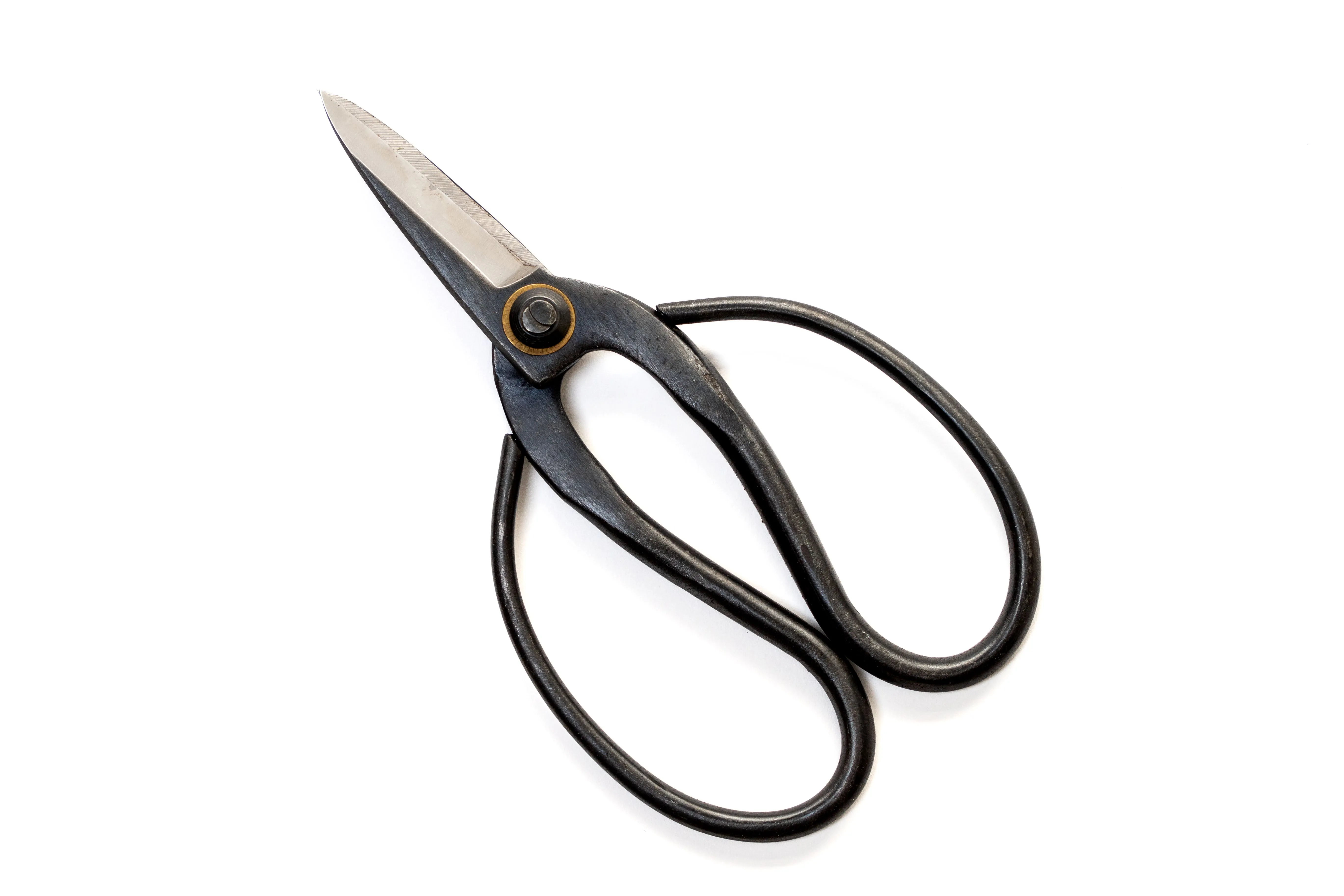 Bonsai-Style Pruning Scissors for Tillandsia Air Plants