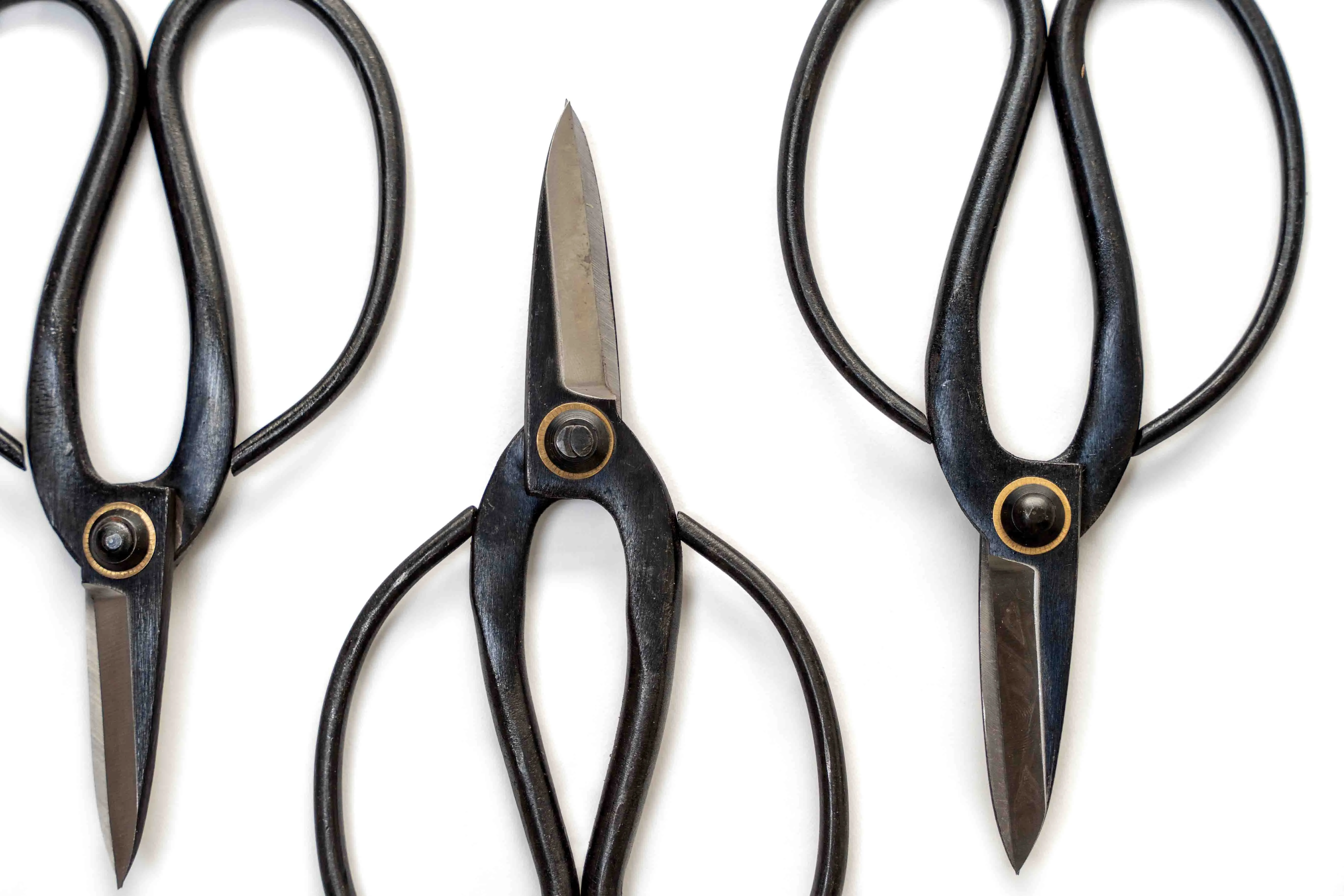 Bonsai-Style Pruning Scissors for Tillandsia Air Plants