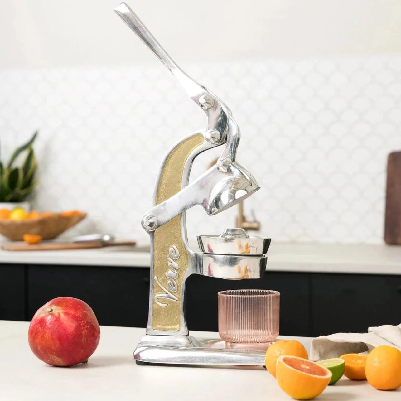 Citrus Juicer