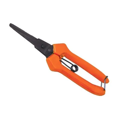 FALCON PRUNING SECATEUR- FBT-40 (Ruchi)