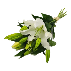 Flowers Oriental Lilies White Bunch