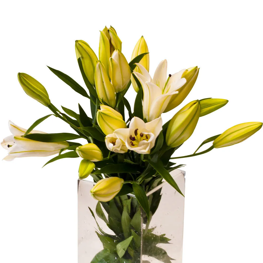 Flowers Oriental Lilies White Bunch