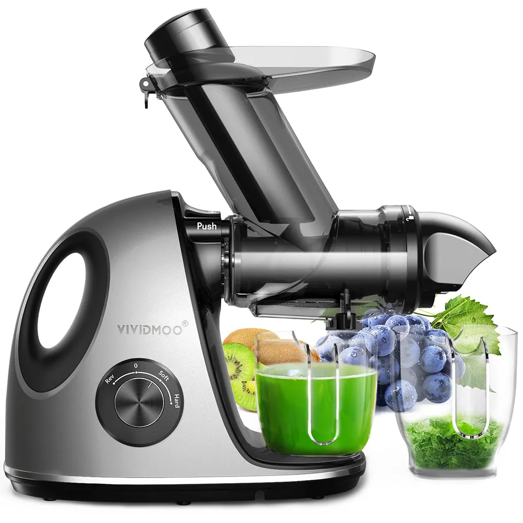 Masticating Cold Juicers 2-Speed Electric