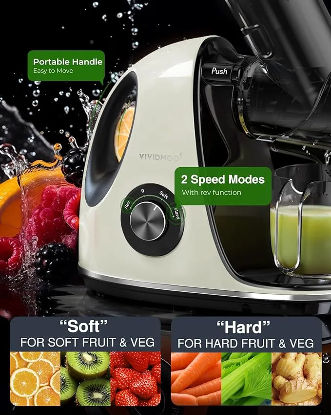 Masticating Cold Juicers 2-Speed Electric