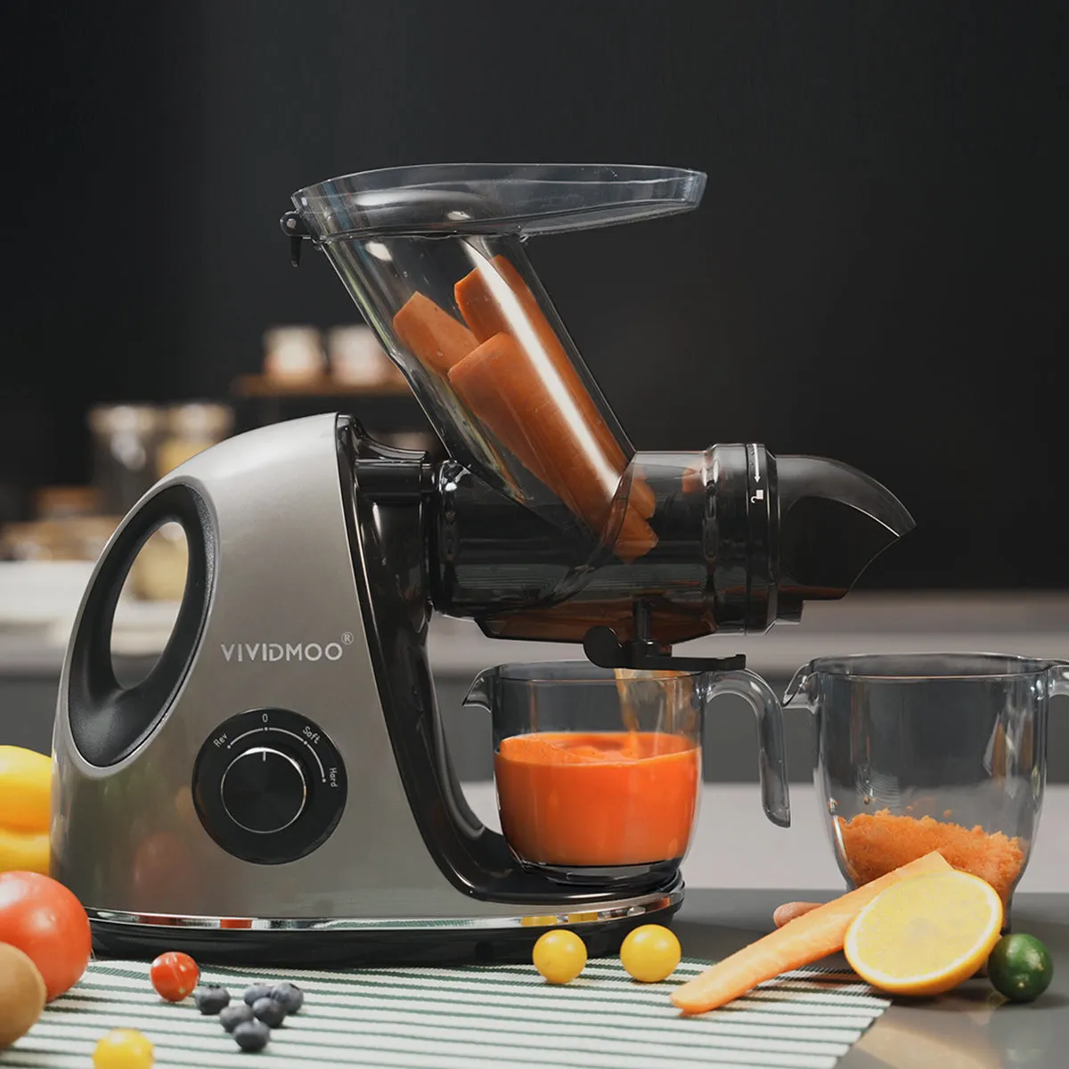 Masticating Cold Juicers 2-Speed Electric