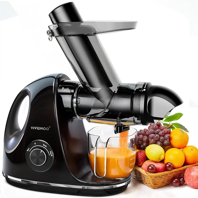 Masticating Cold Juicers 2-Speed Electric