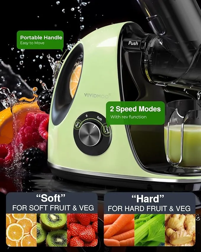 Masticating Cold Juicers 2-Speed Electric