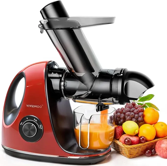 Masticating Cold Juicers 2-Speed Electric