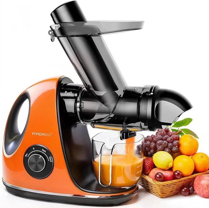 Masticating Cold Juicers 2-Speed Electric