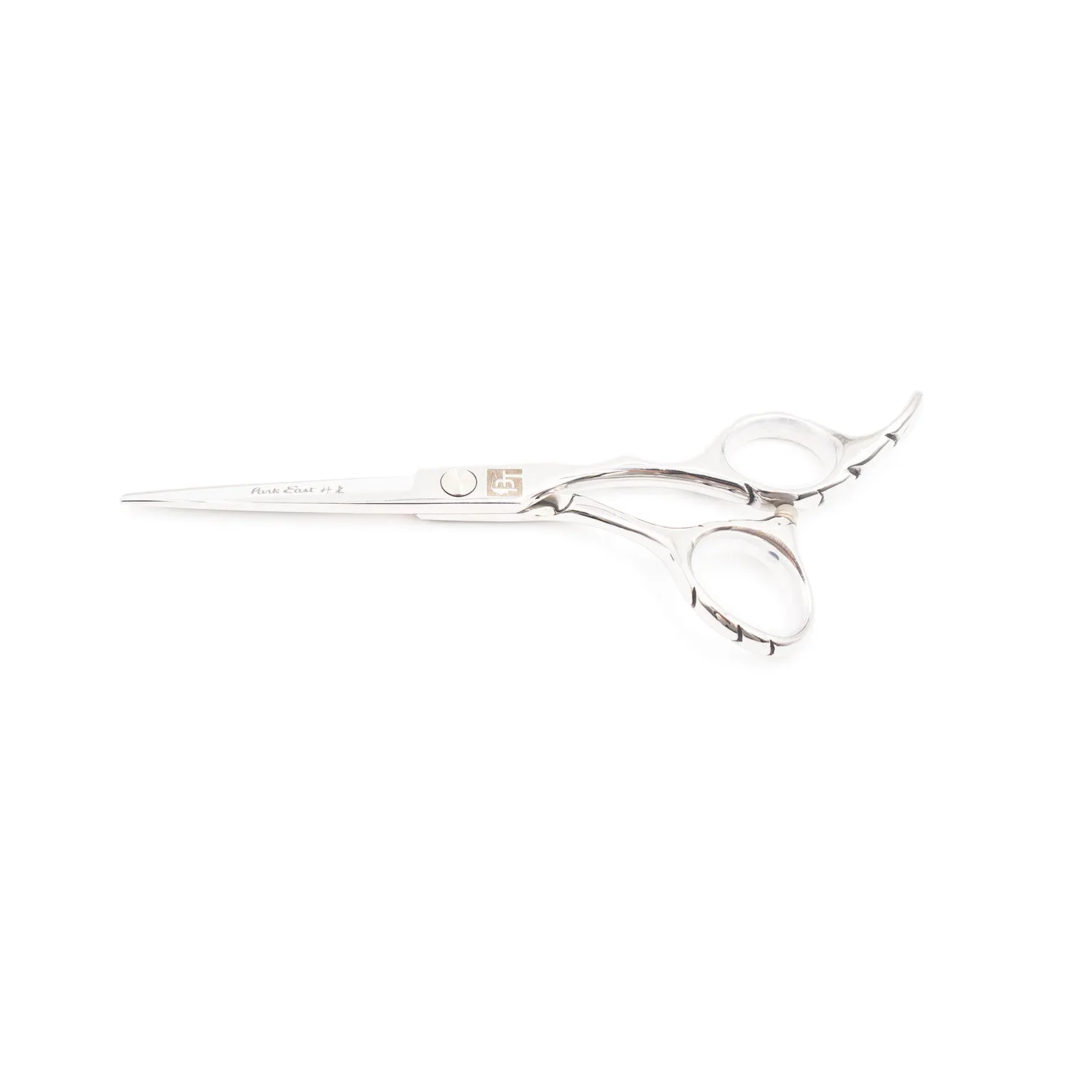 Professional 5.5" Salon Hair Cutting Scissors (6CR Steel)