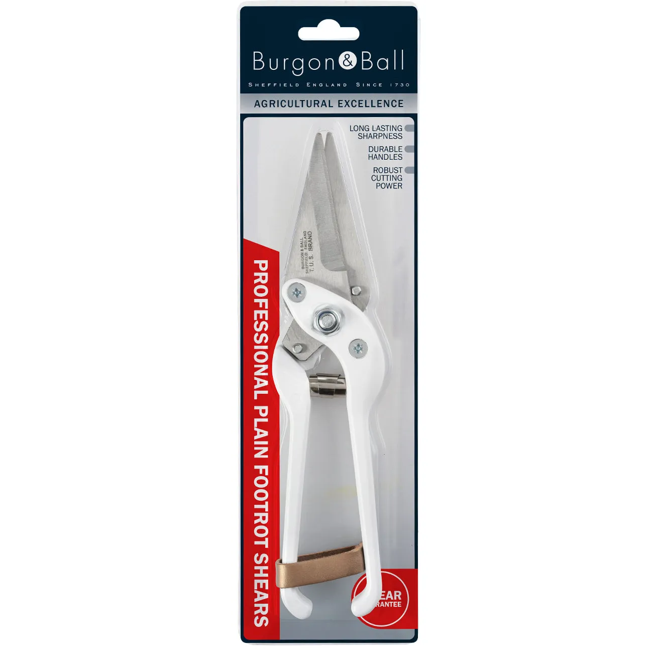 Professional Plain Footrot Shears