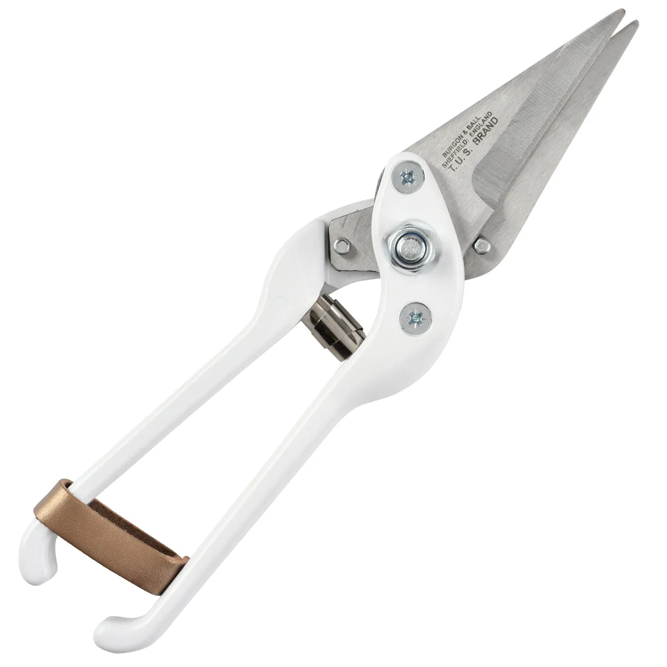 Professional Plain Footrot Shears