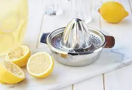 Stainless Steel Juicer with Bowl