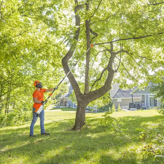 Stihl | HTA 160 Battery Pole Pruner | w/o battery & charger (LA01 200 0018 US)