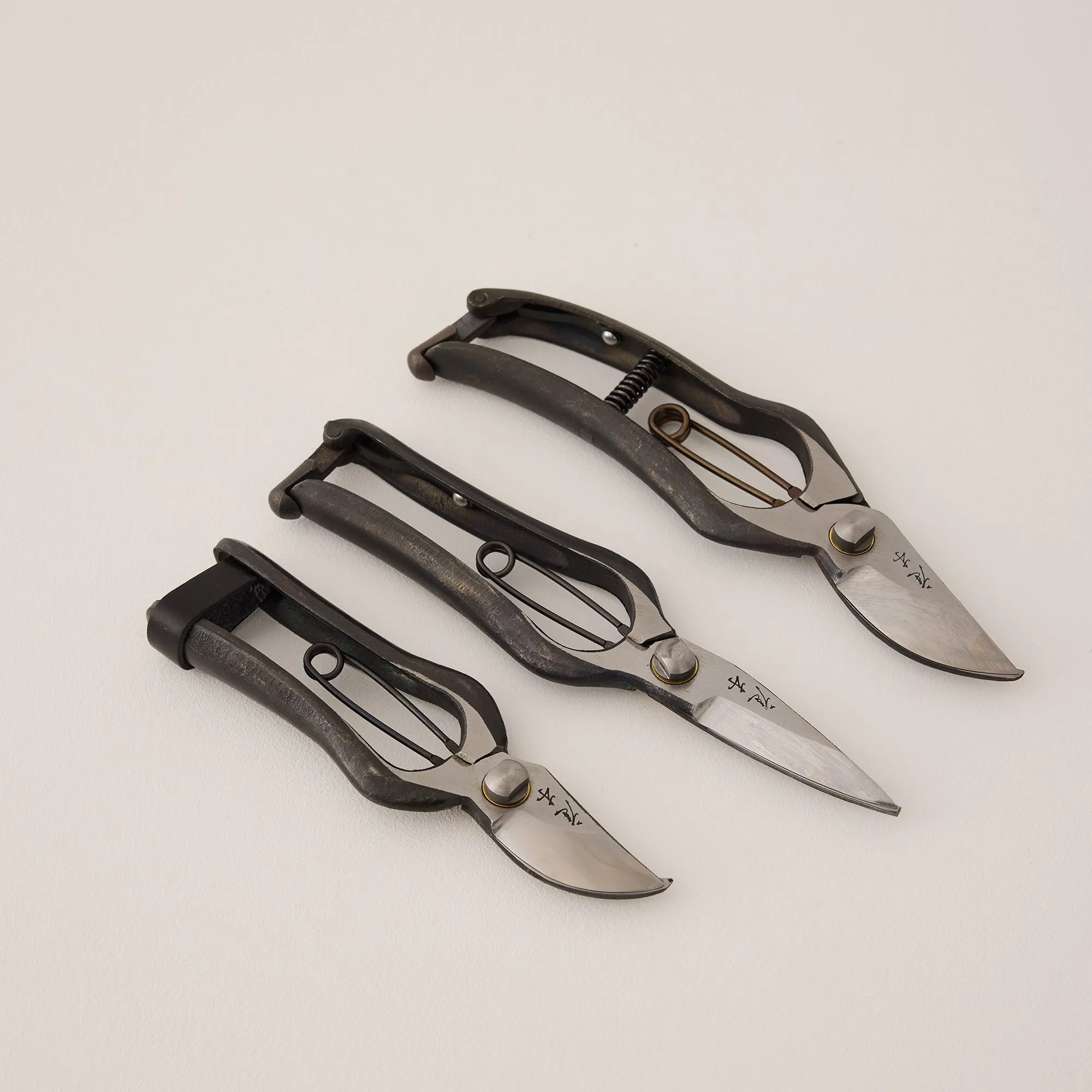 Tokusen Pruning Set