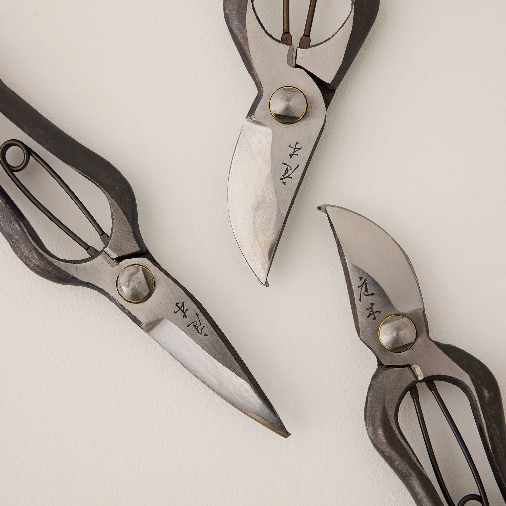 Tokusen Pruning Set