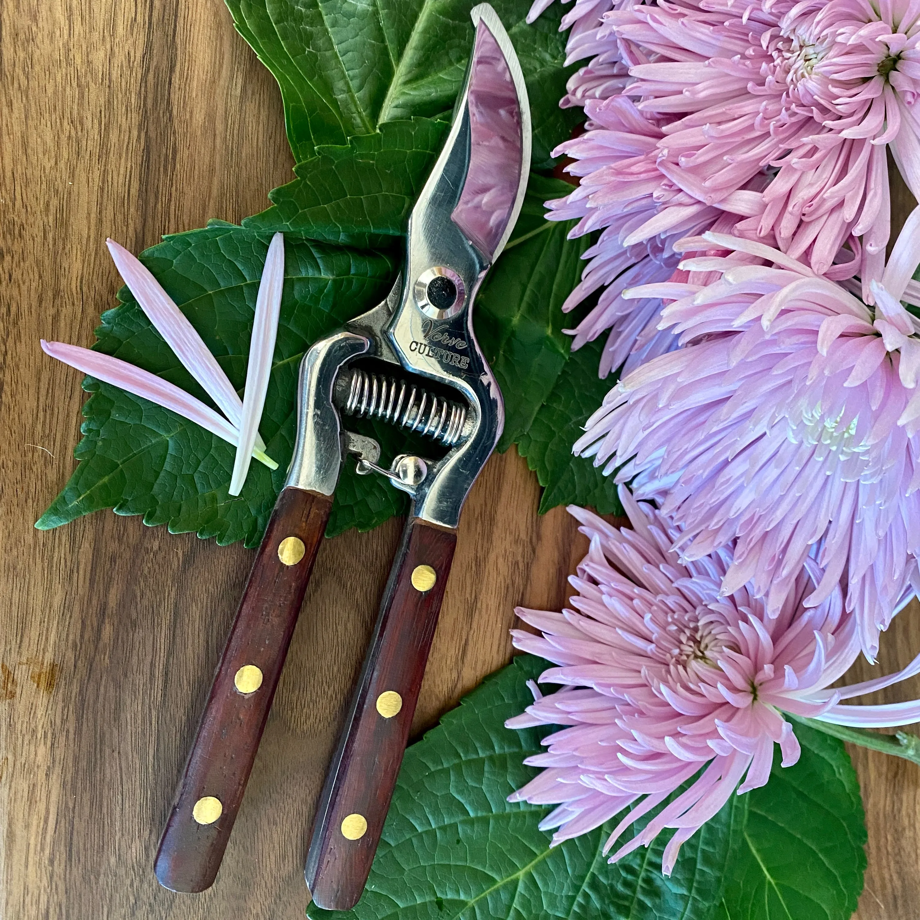 Verve Culture Thai Kitchen & Garden Shears